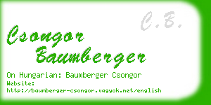 csongor baumberger business card